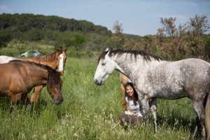 Read more about the article Ethologie ? Education ? Horsemanship ? Equitation ? … Que fait-on vraiment à Equidéo ?