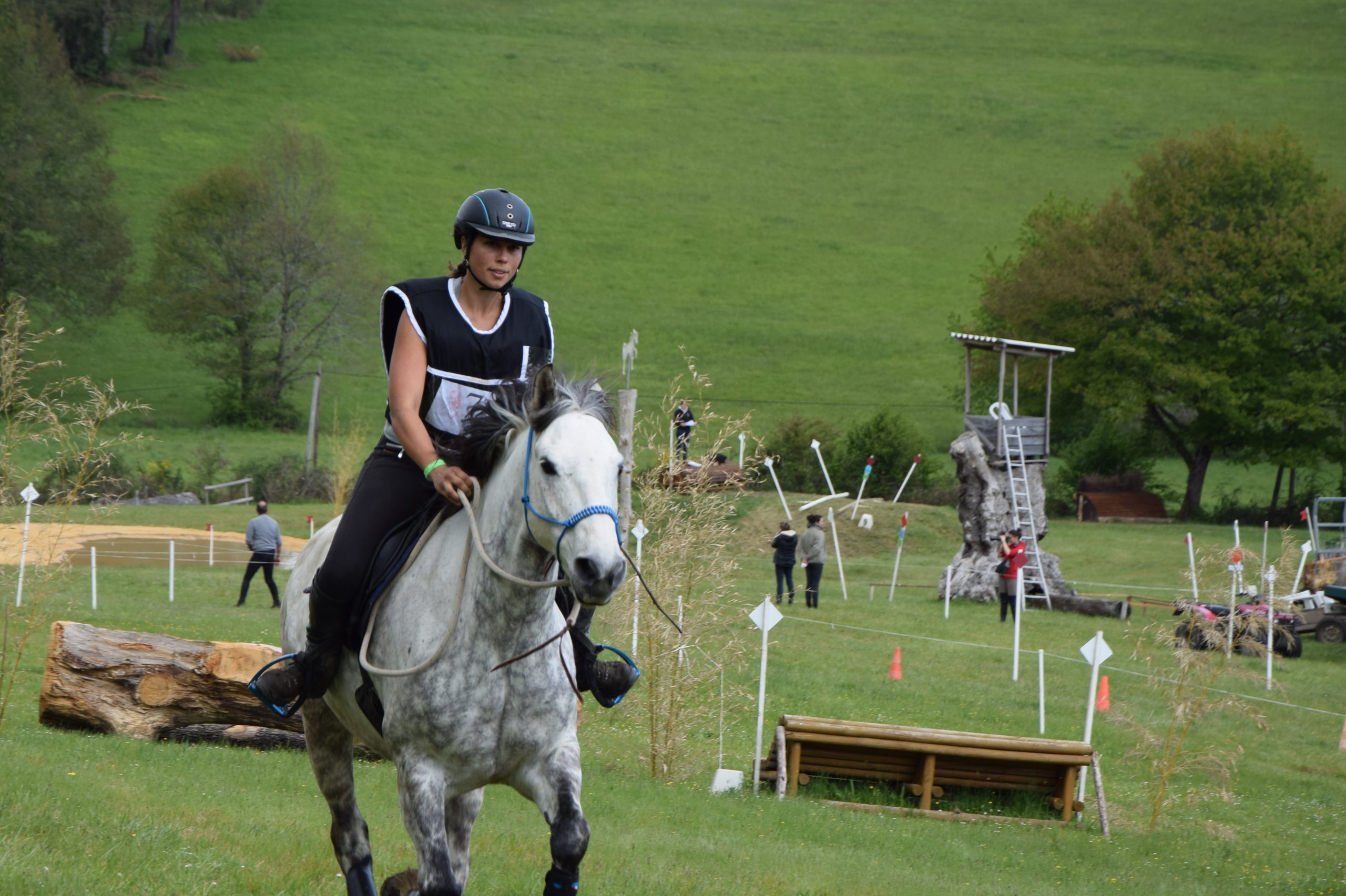 Read more about the article Horsemanship et Compétition sont-ils compatibles ?