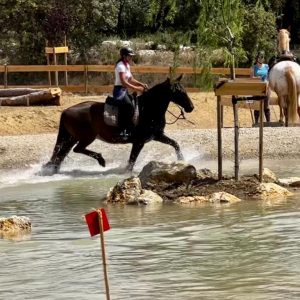 Séjour cheval vacances à Equideo