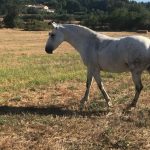 Stage Liberté : Etes-vous un bon danseur ?