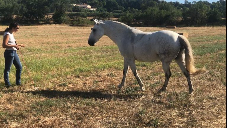 Stage Liberté : Etes-vous un bon danseur ?