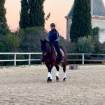STAGE : La psychologie au service du Dressage avec Luis Lucio – Décembre