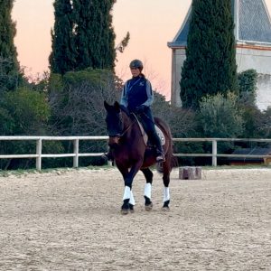 STAGE : La psychologie au service du Dressage avec Luis Lucio – Décembre
