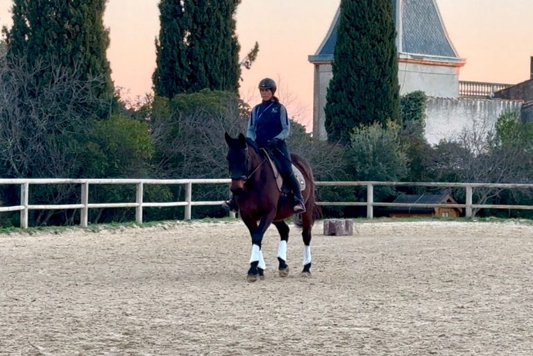 STAGE : La psychologie au service du Dressage avec Luis Lucio – Décembre
