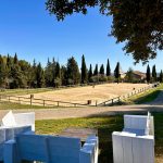 Séjour VIP : 4 jours à Equideo pour 4 personnes _ Août 2026