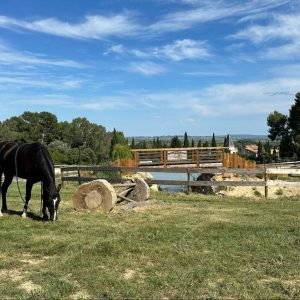 Location du parc équestre Equideo