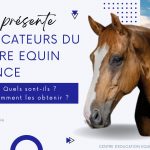 Replay Conférence : Les indicateurs du bien-être équin en séance