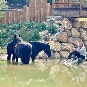 Location du parc équestre Equideo