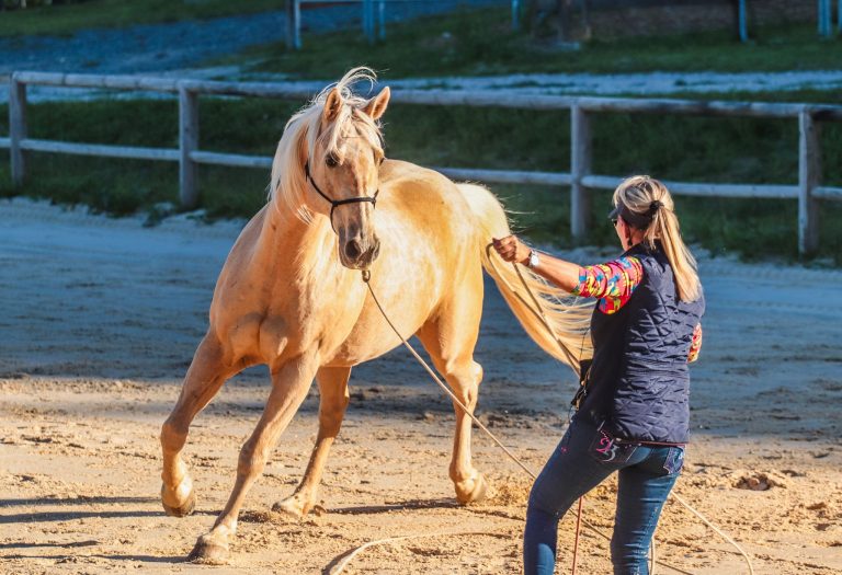 Masterclasse 4 jours avec Linda Parelli (14 au 17 mai 2026) : Le Cavalier dont votre cheval Rêve