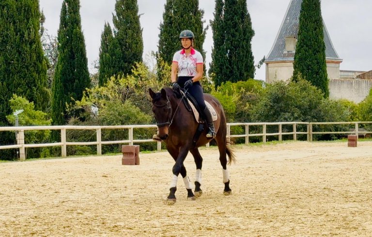 STAGE : La psychologie au service du Dressage avec Luis Lucio