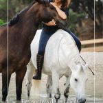 Ebook Vol 4 _ Les Secrets de la Liberté