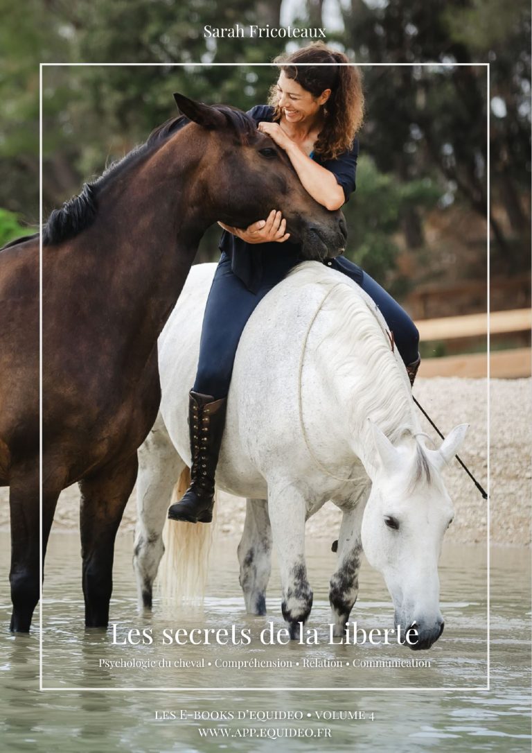 Ebook Vol 4 _ Les Secrets de la Liberté