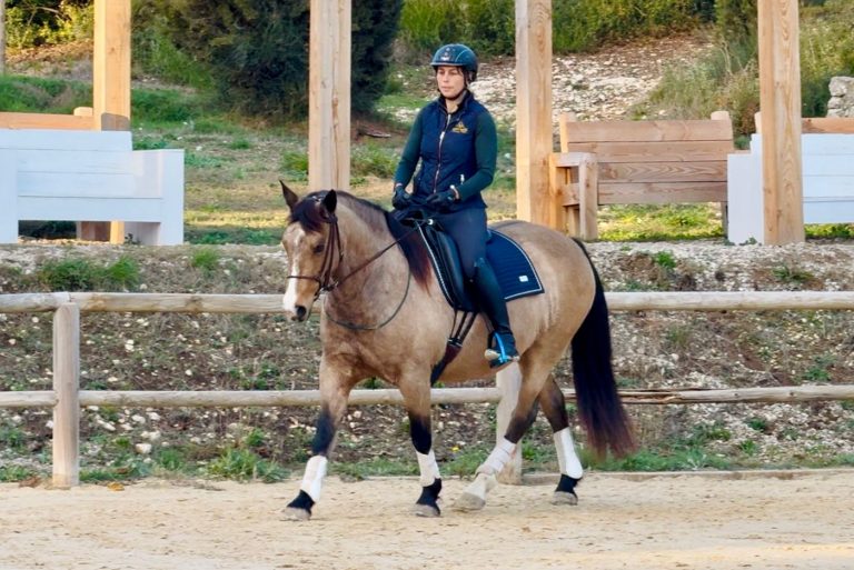 STAGE : La psychologie au service du Dressage avec Luis Lucio – Décembre 2026