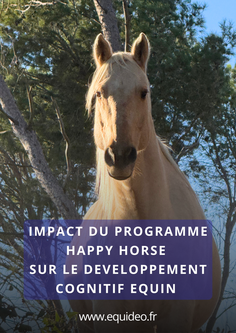 Article _ Impact du Programme Happy Horse sur le Développement Cognitif Equin