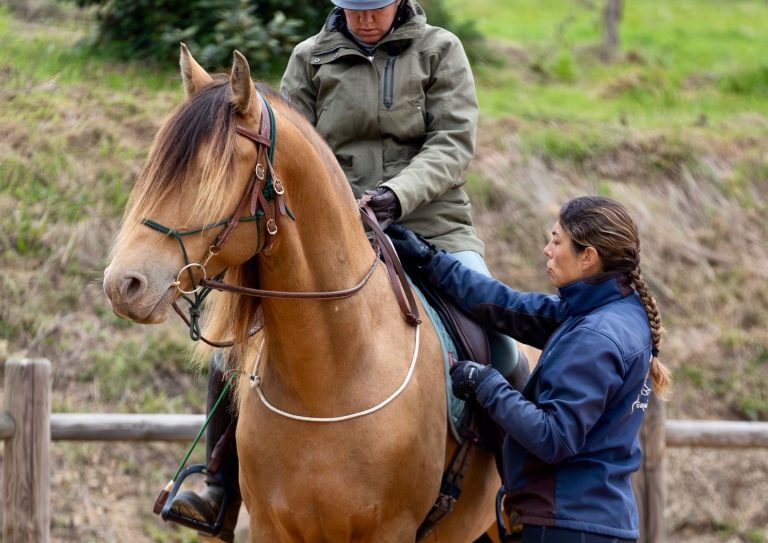 FORMATION PRO : Equideo au Domaine de Chéchigné
