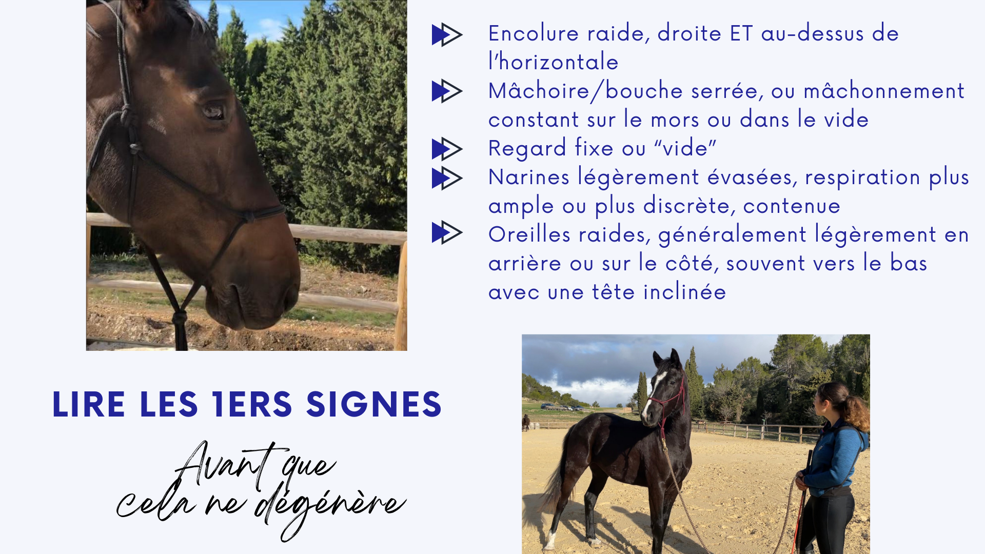 Replay Conférence : Emotions et Solutions – Image 4