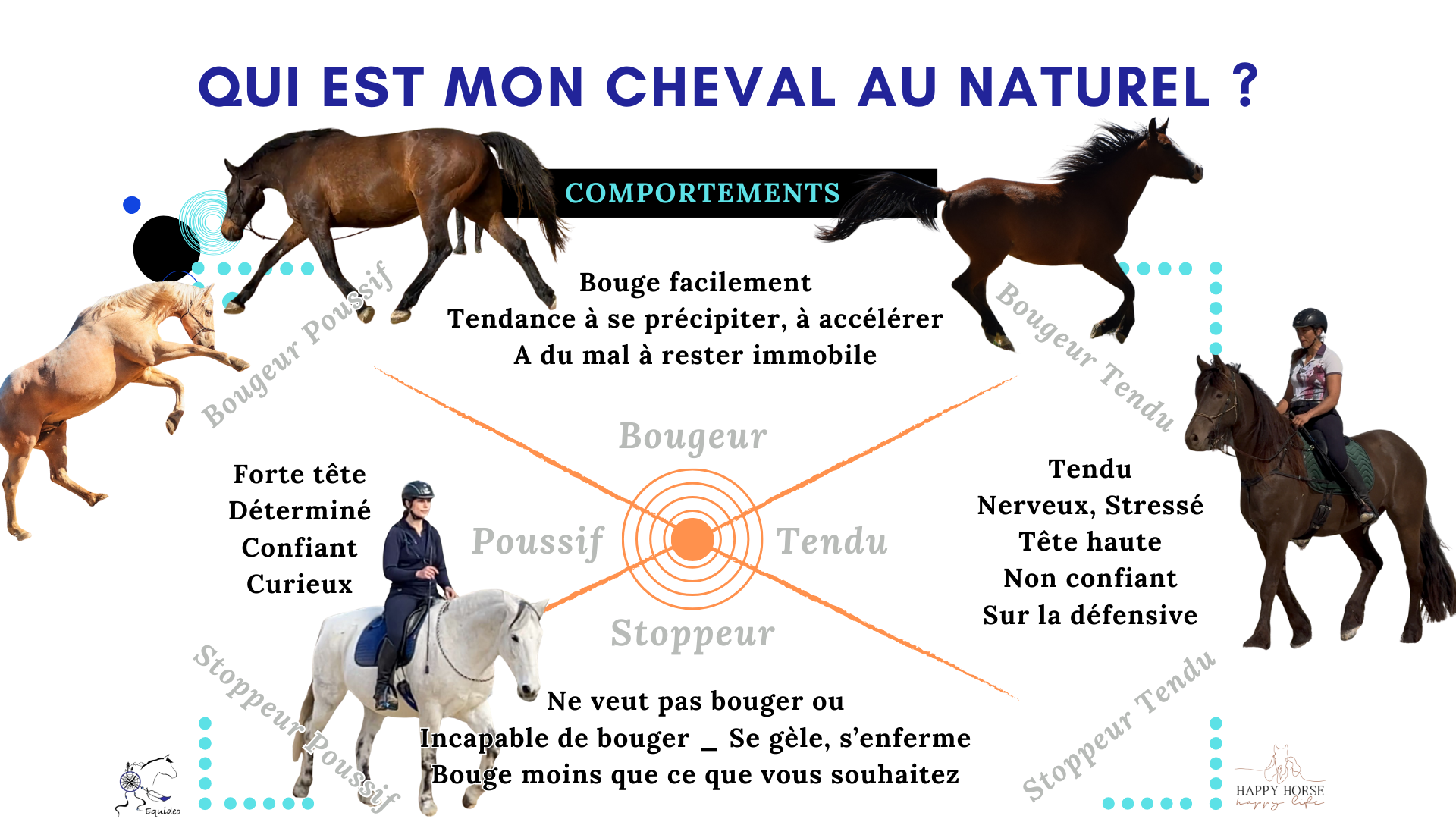 Replay Conférence : Emotions et Solutions – Image 5