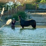 Séjour VIP : 4 jours à Equideo pour 4 personnes _ Juillet 2026