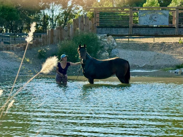 Séjour VIP : 4 jours à Equideo pour 4 personnes _ Juillet 2026